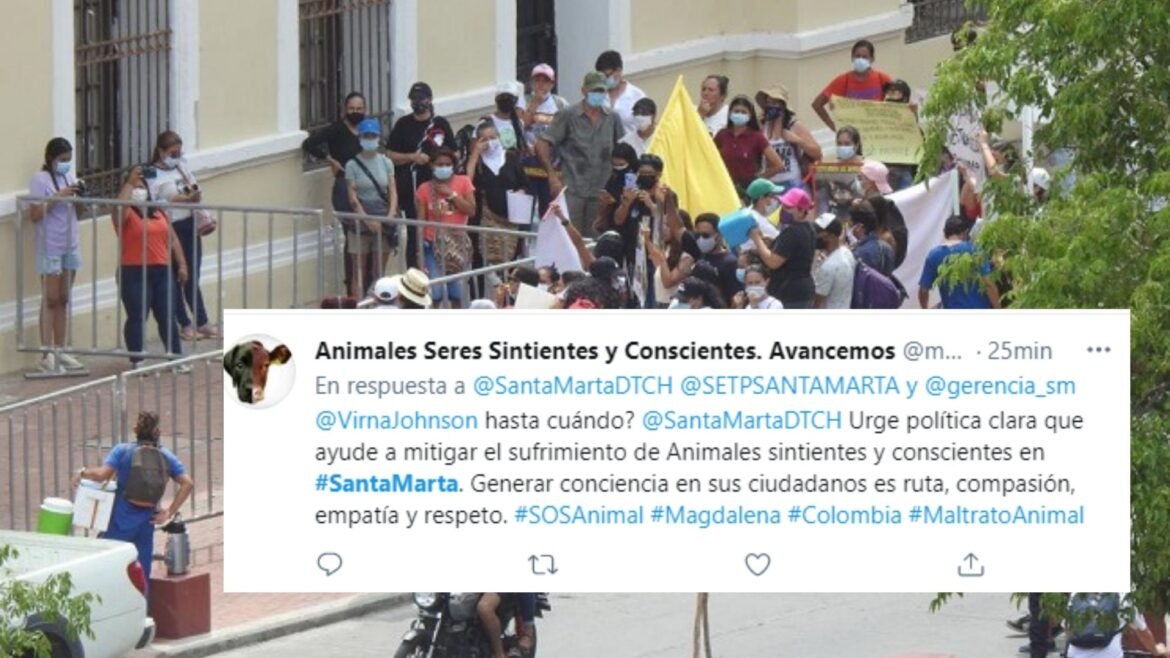 Agregar un subtítulo (17)