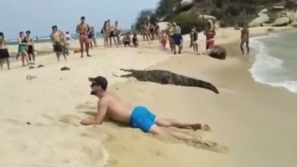 Por una foto junto a “Pepe”, turista arriesga su vida en el Parque Tayrona