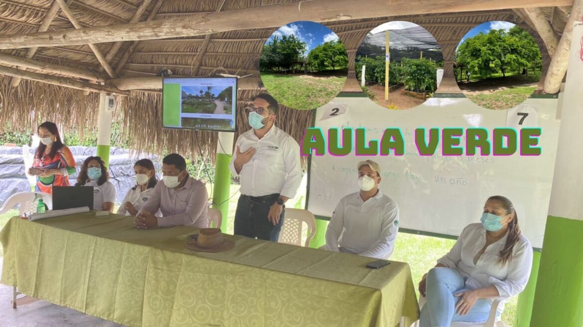 AULA veRDE