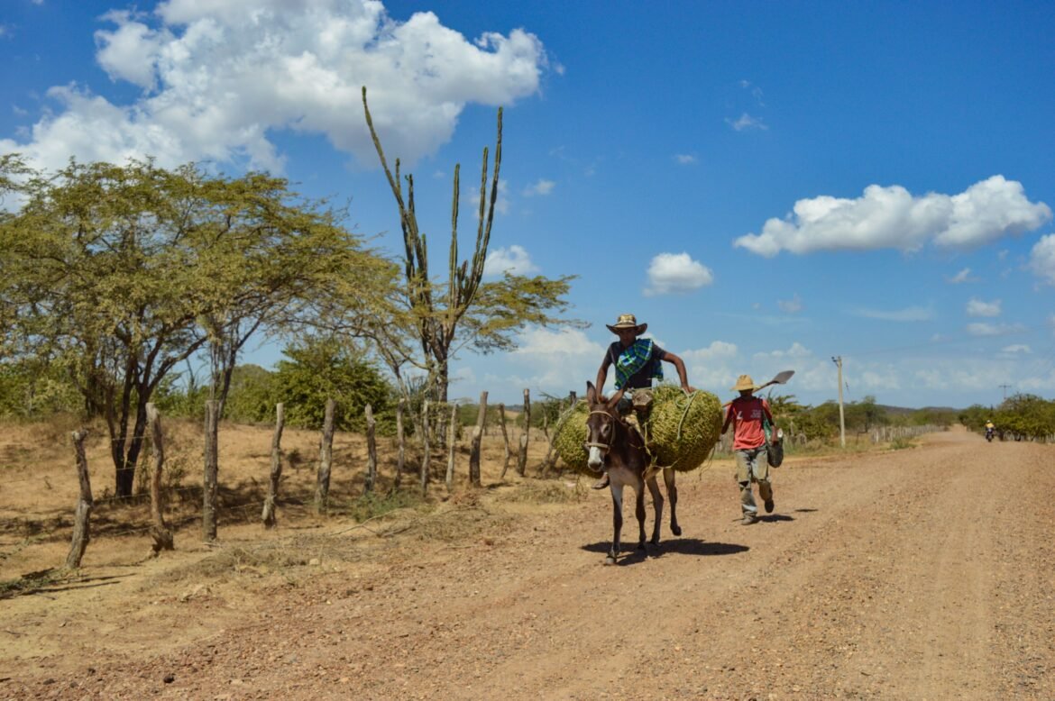 RELATOS DEL CARIBE (2)