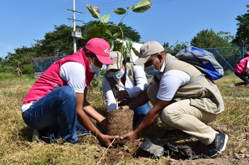 116 mil árboles, el reto de Corpamag en la Gran Sembratón Nacional