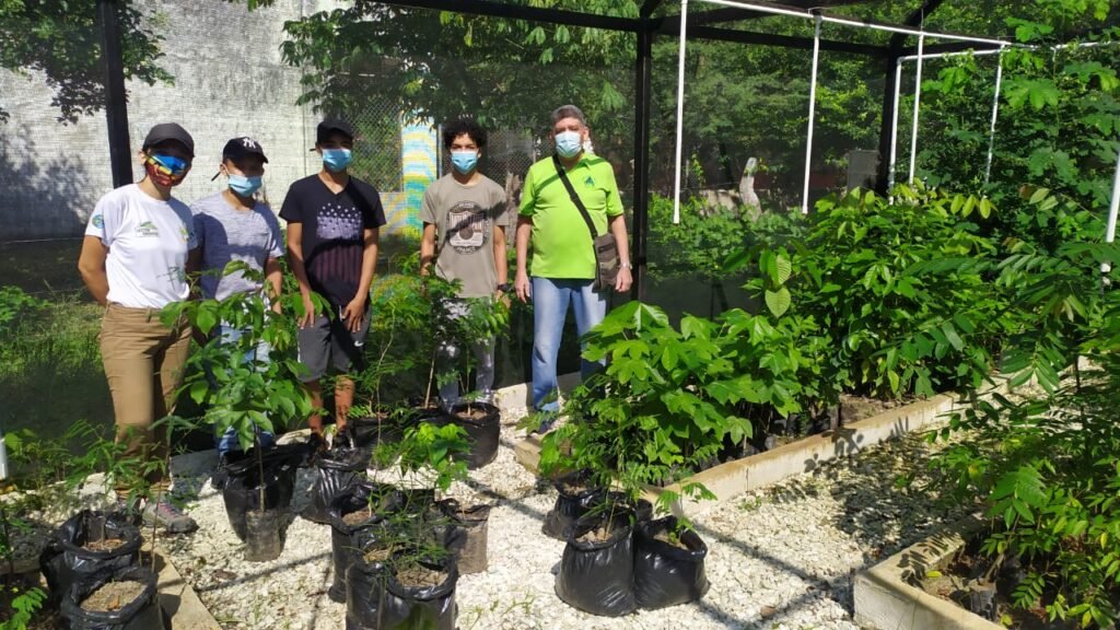 Con éxito finalizó el proyecto: ‘Sembrar para donar’