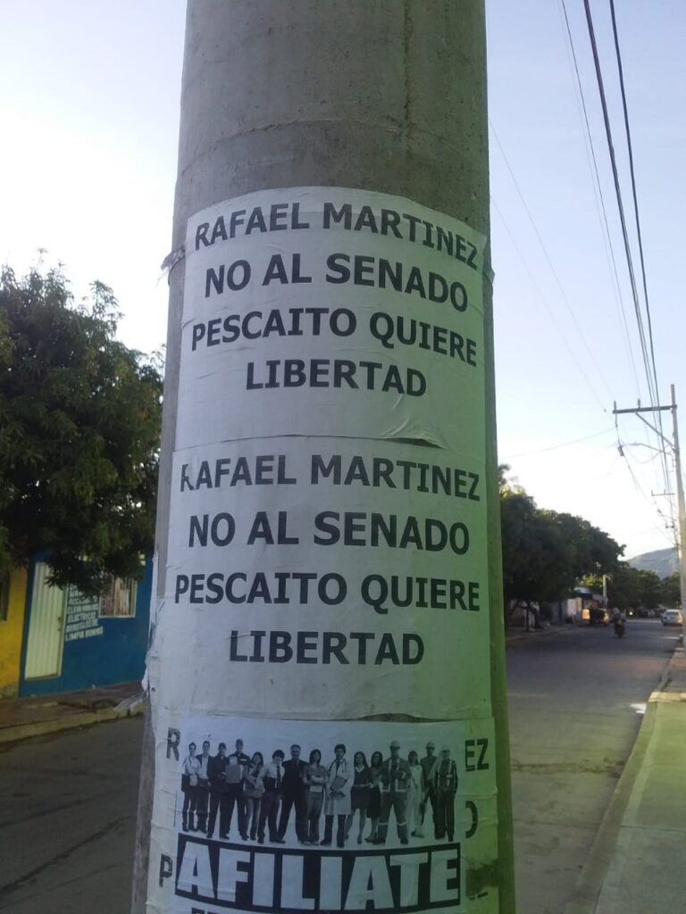Fuerza Ciudadana vetada en carteles de las calles de Pescaito