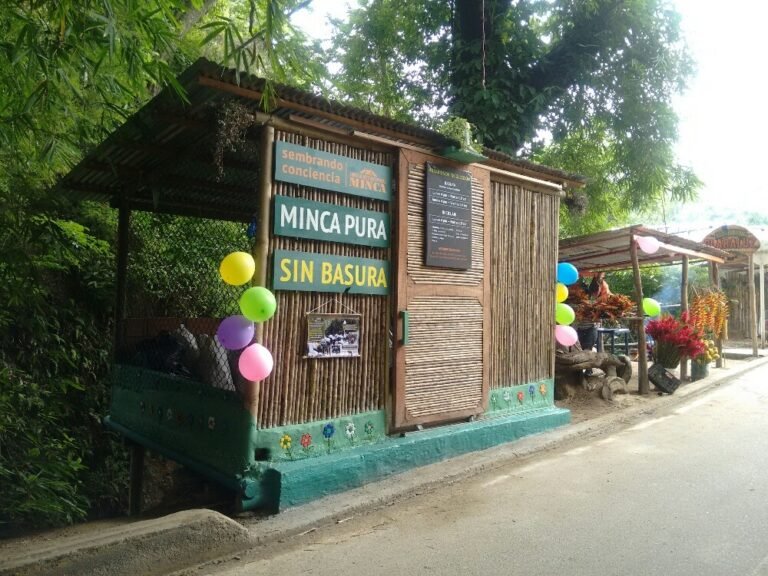 Minca pura sin basuras un esfuerzo comunitario por la ecología