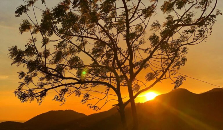 Estas son las recomendaciones para los samarios en la temporada seca