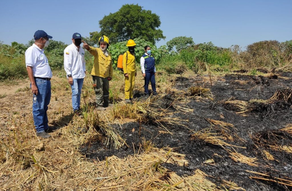 Corpamag evidencia 60 hectáreas afectadas por incendio en Aracataca