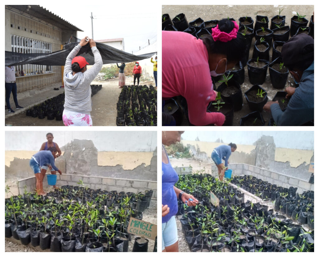 Mujeres resilientes del corregimiento de Tasajeras trabajan unidas