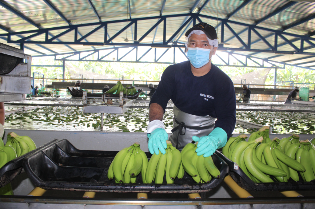 Asbama pide apoyo para mejorar la seguridad en Zona Bananera