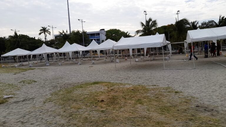 ¿Por qué la Corporación Centro Histórico se opone a la feria en la playa?