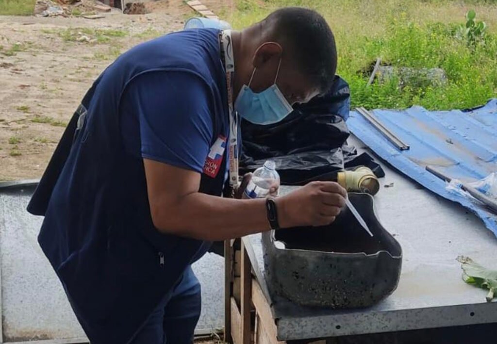 Tenga en cuentas estas medidas desde casa para prevenir el dengue