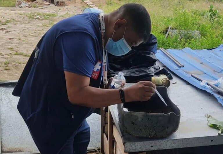 Tenga en cuentas estas medidas desde casa para prevenir el dengue