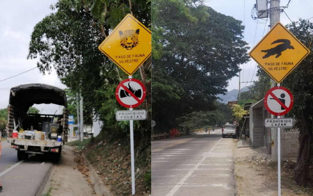 ¡Pare! Paso de animales silvestres por la vía Santa Marta-Riohacha