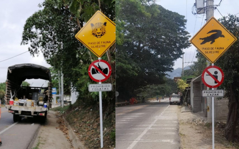 ¡Pare! Paso de animales silvestres por la vía Santa Marta-Riohacha