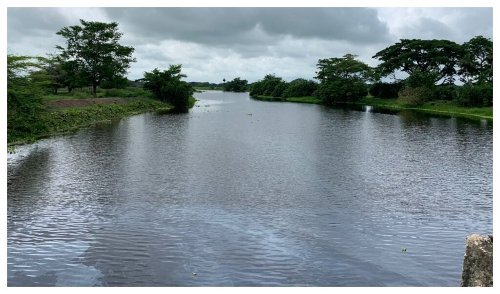 Alcaldía de El Piñón y Corpamag limpian el Caño Vicente Caballero