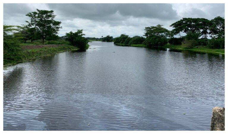 Alcaldía de El Piñón y Corpamag limpian el Caño Vicente Caballero