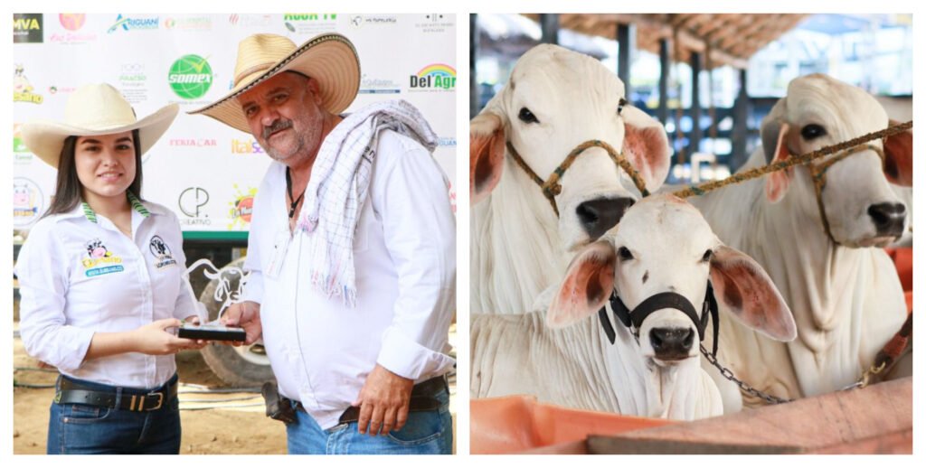 Cinco logros más destacados de la XVI Feria Agroindustrial de Ariguaní