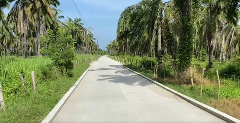 $1.081 millones han sido invertidos en la vía Palomar – Orihueca