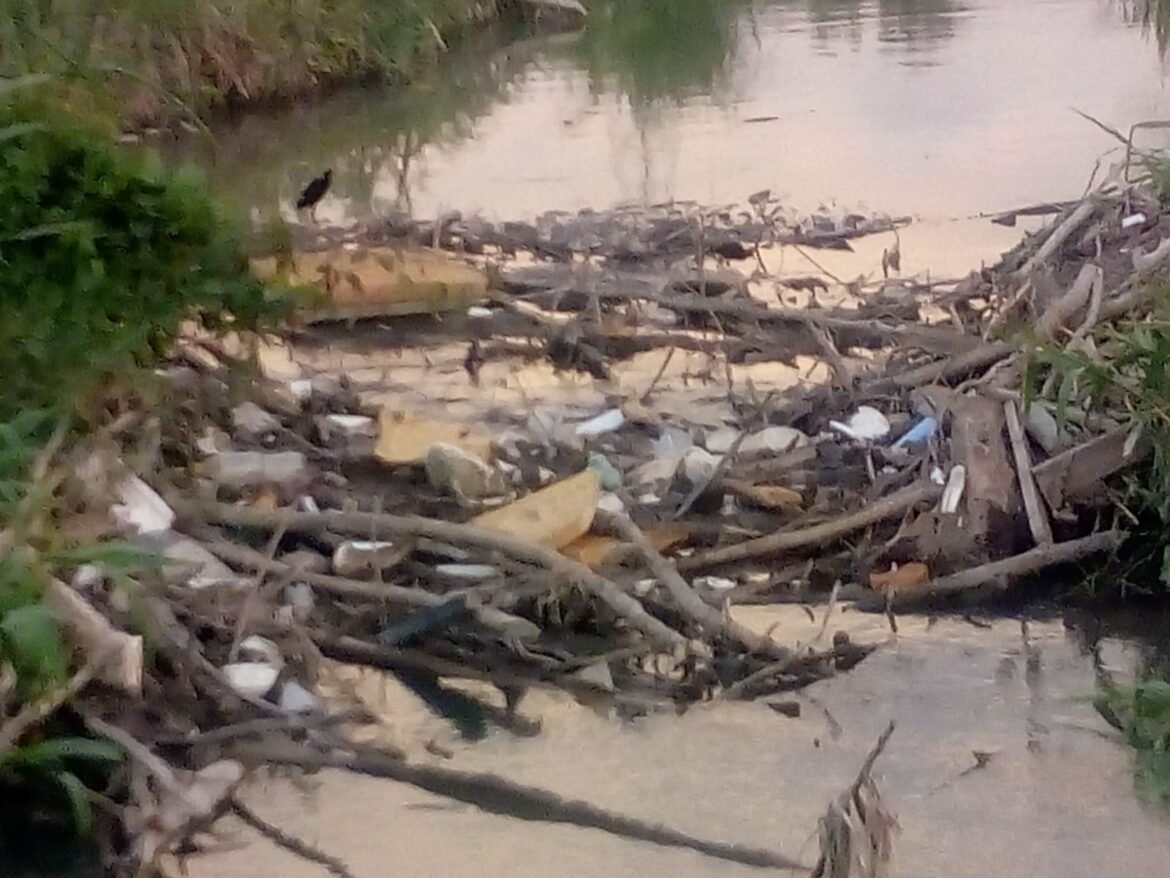 Quebrada Japon de Santa Marta contaminada
