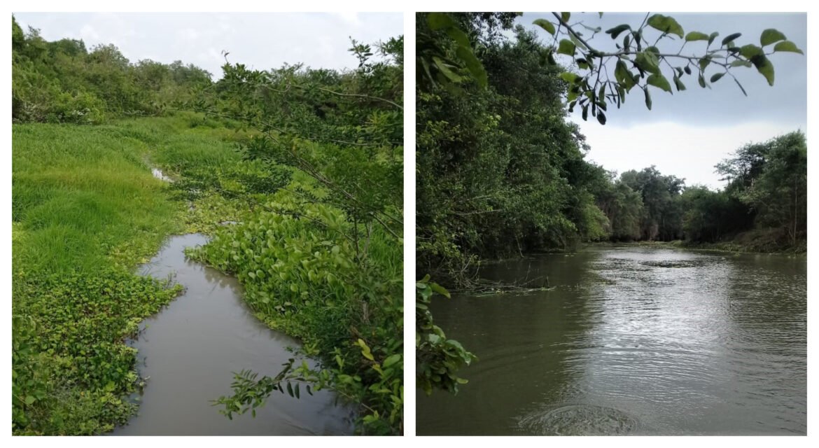 Caño El Ratón antes y después