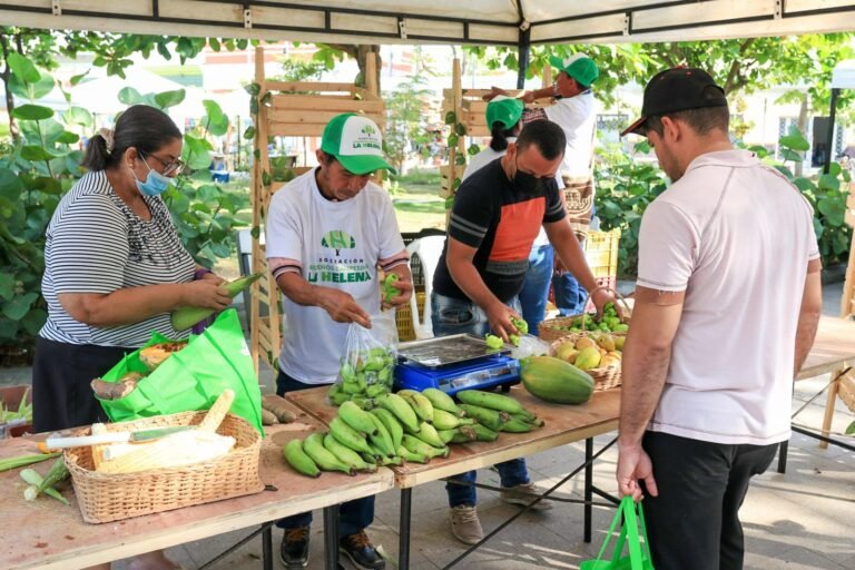 Con ‘E-Commerce’ empresas campesinas llegan a feria agrícola en Plato