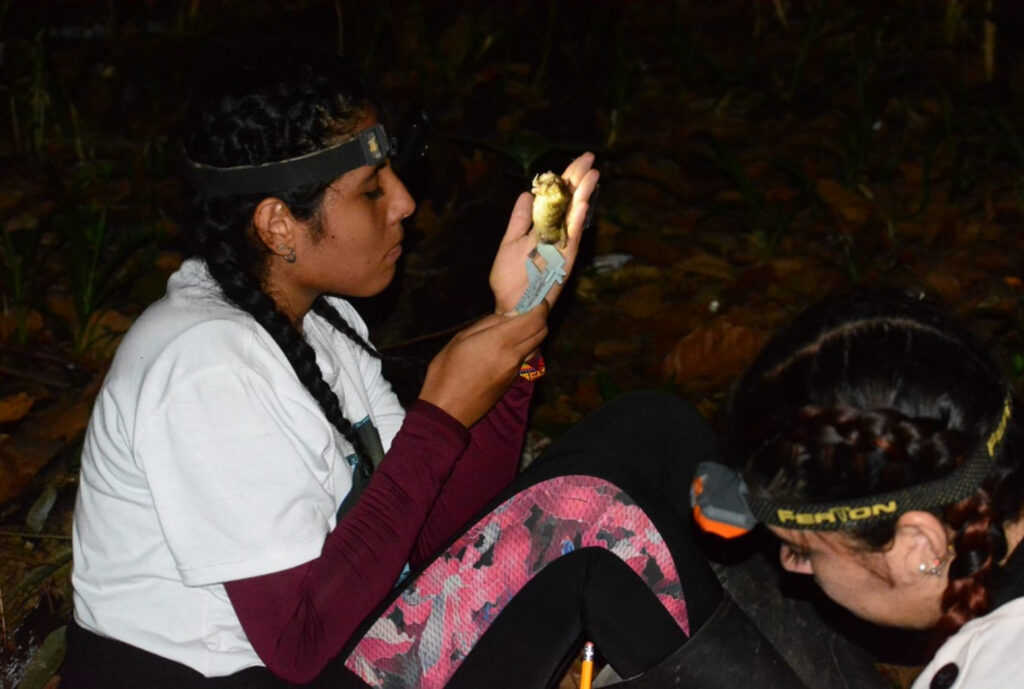 Estudios de biodiversidad en la Sierra Nevada 1