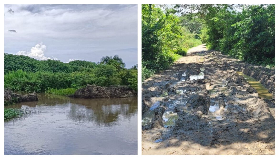 Caño Los Micos