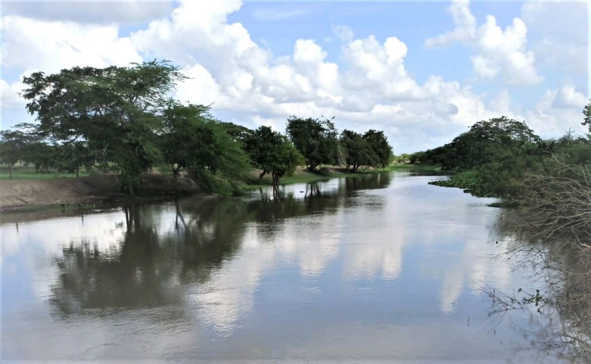 Caño Martinica