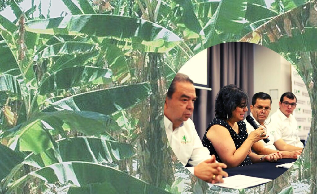 El Gobierno Nacional respalda lucha contra el fusarium en el Magdalena