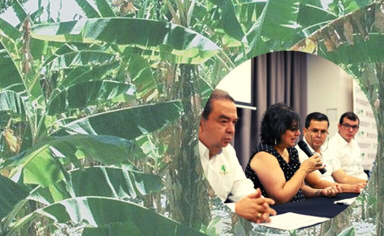 El Gobierno Nacional respalda lucha contra el fusarium en el Magdalena