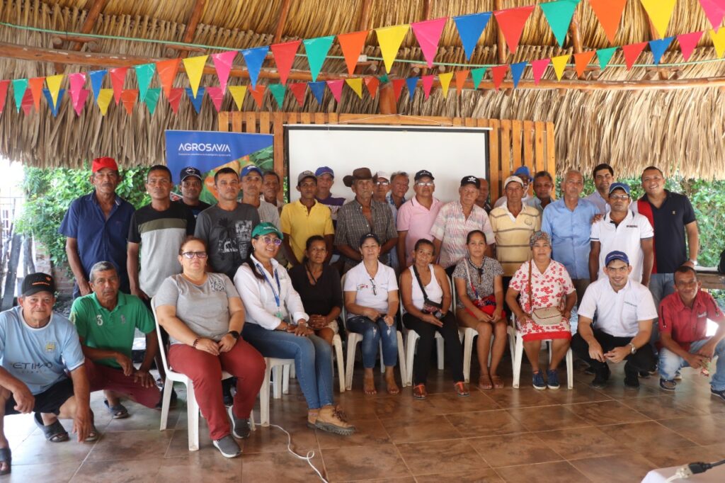 Productores de berenjena