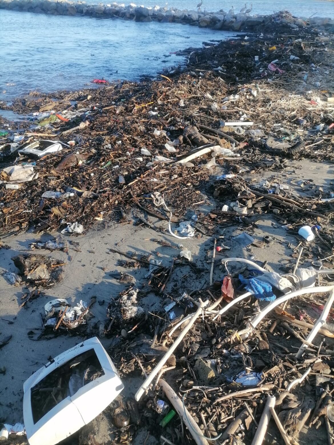 Basura en la playa de Los Cocos de Santa Marta