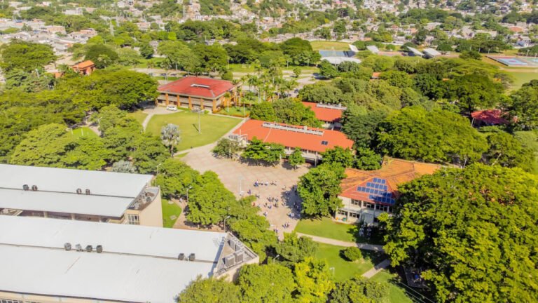 ¡Pilas! Unimagdalena abre inscripciones en programas a distancia y virtual