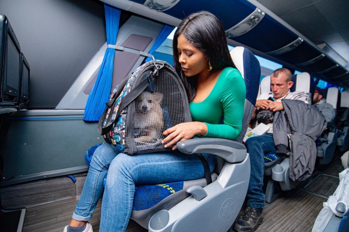 Viajar con mascotas desde Santa Marta