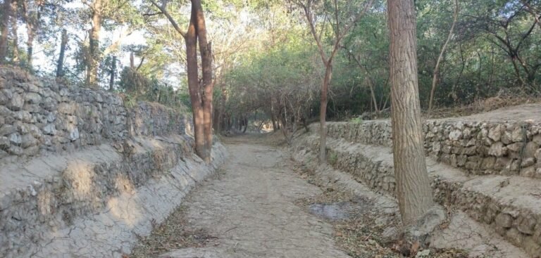 Corpamag avanza en la limpieza y dragado del Canal Bureche