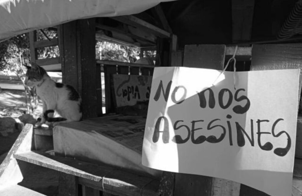 En Santa Marta, si no cambia la política animal no hay sanción que valga