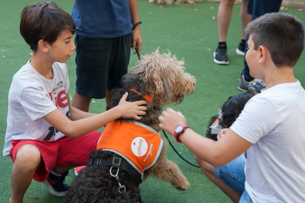 Revive la propuesta de la cátedra animalista en colegios de Santa Marta
