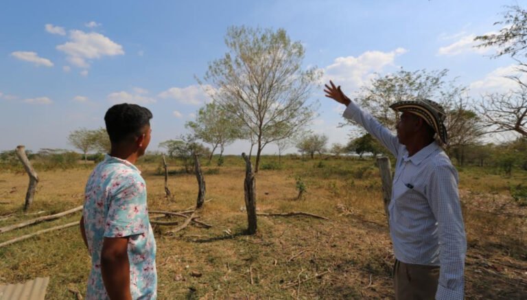 Los desplazaron, y 28 años después recuperan su predio en el Magdalena
