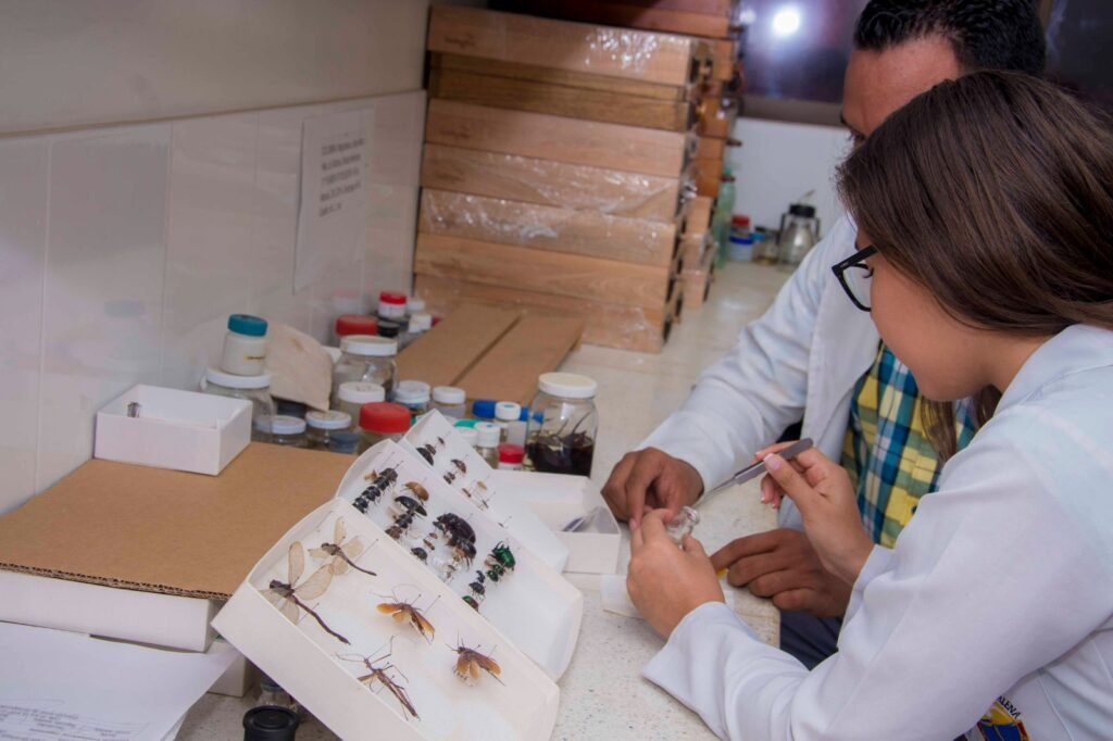 Lo dice el Art Sapiens, Unimagdalena es la mejor en producción científica