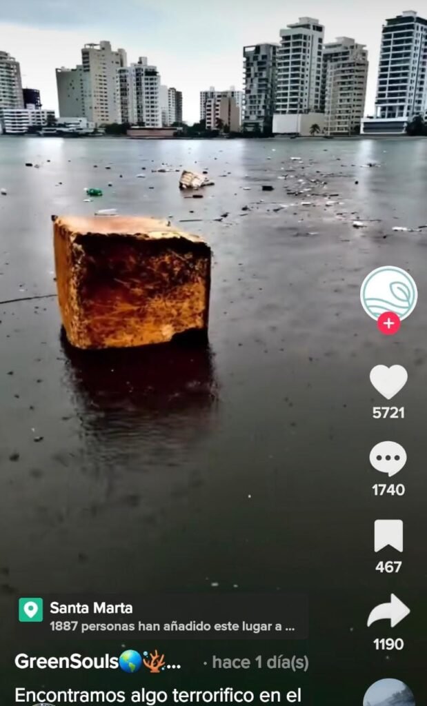 En video: Encontraron algo terrorífico en el mar de Santa Marta