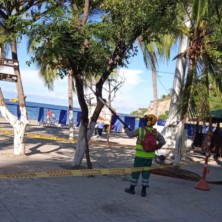 ¿Quién resuelve el lio de las podas entre DADSA y Atesa?