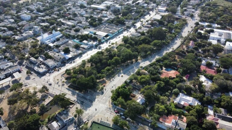 ¿Cómo logró Santa Marta ser una de las ‘Ciudades Árbol del Mundo’?
