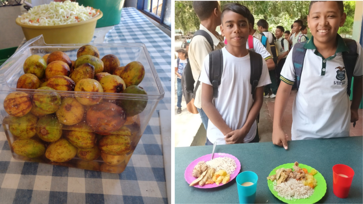 Veeduría versus PAE Santa Marta