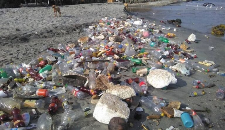 A los ambientalistas en Santa Marta ‘No les paran bolas’