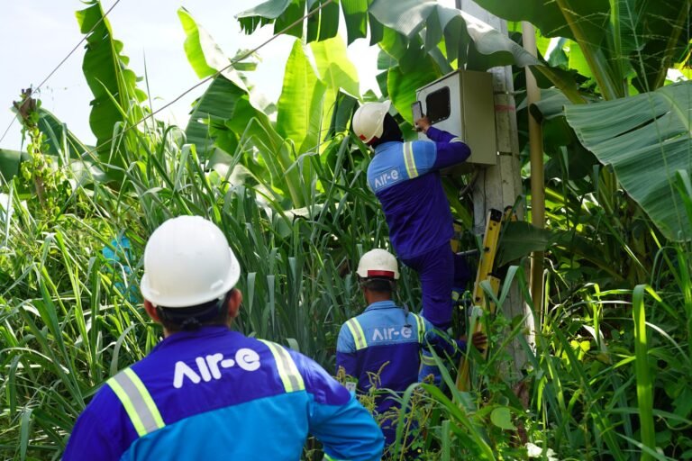 ¿Qué pasa con los millonarios robos de fluidos eléctricos en las fincas?