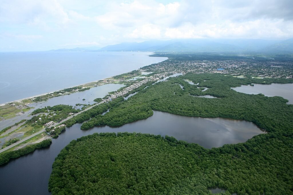 ¿Por qué Corpamag ha intervenido más de 10 caños de Ciénaga Grande?