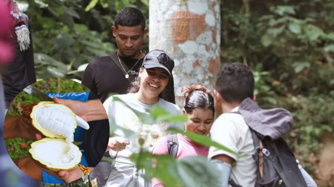 Turismo Rural Cacao de la Sierra Nevada