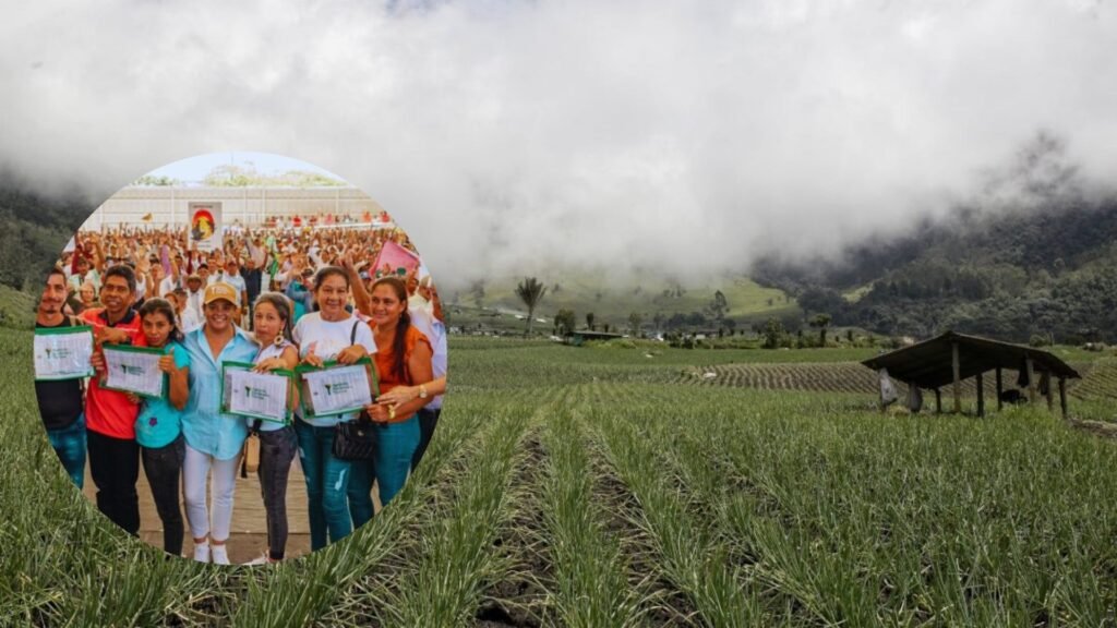 Entregan 164 hectáreas de tierra a familias campesinas del Magdalena