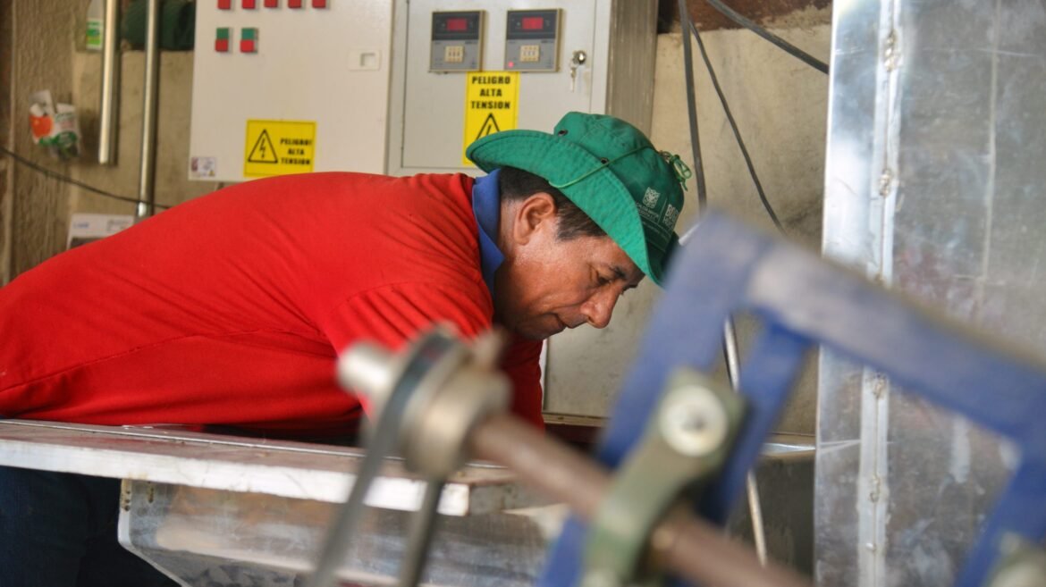 Trilladora de café en Santa Marta