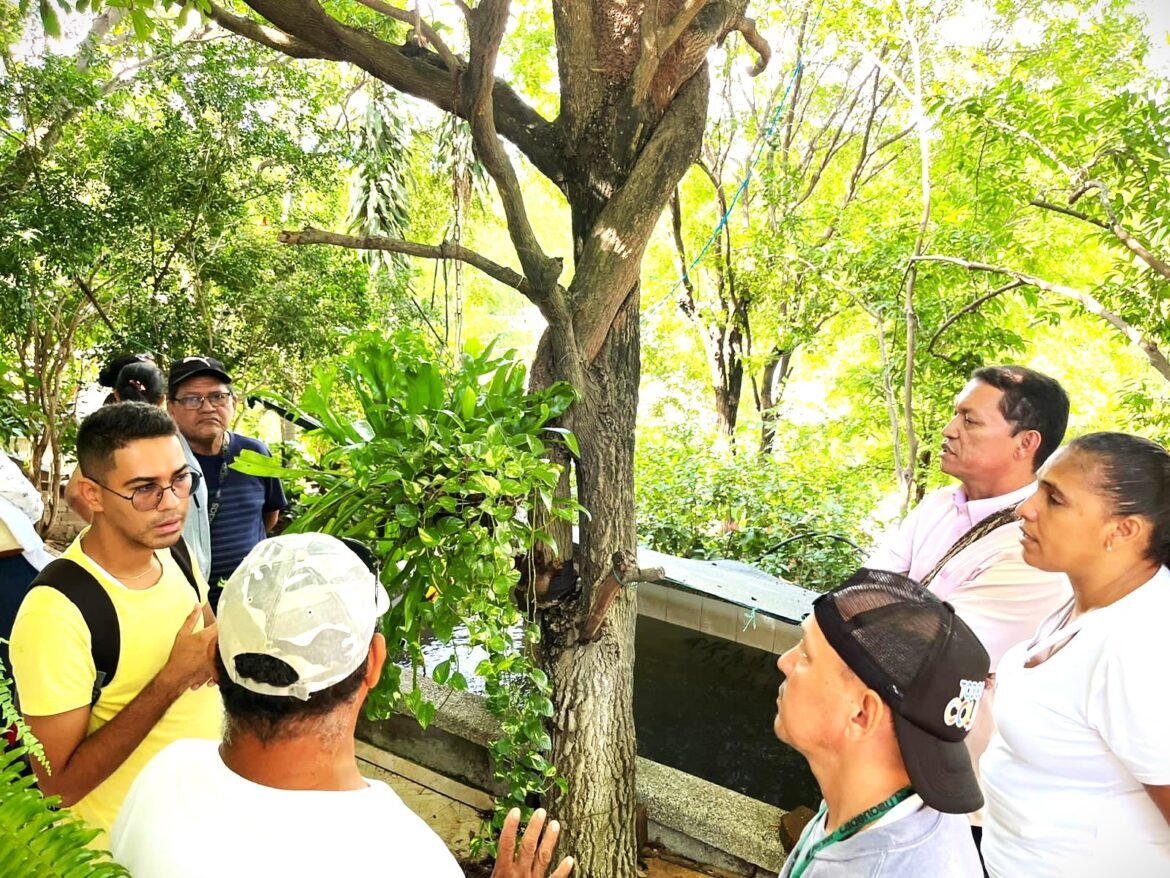 Desplazados capacitados por la alaldia de Santa Marta