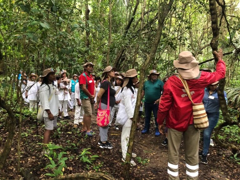 Nuevos intercambios ancestrales entre colegio Wiwa y Parque Tayrona